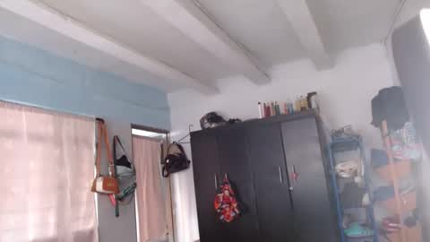 Snapshot of amelia_2023 chatting on 12.08.24 amelia online show from 12.08.24