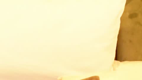 Amelia online show from 01.09.25