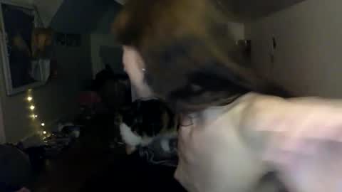 jane online show from 03.27.26