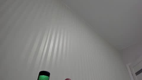 Snapshot of aminaswan_ chatting on 05.19.26 Kristina online show from 05.19.26