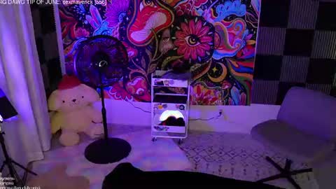 Snapshot of amphetameme chatting on 06.14.26 sierra online show from 06.14.26