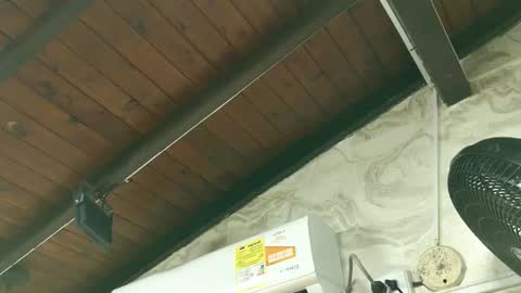 Snapshot of amy_greenee chatting on 03.01.26 amy_greenee online show from 03.01.26