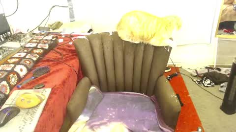 Trashely Gimpson online show from 04.14.26