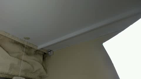 amy online show from 03.18.26