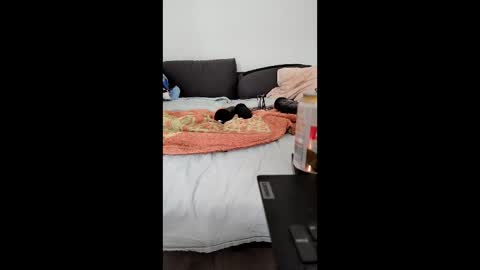 Snapshot of analtraining12 chatting on 03.26.26 analtraining12 online show from 03.26.26