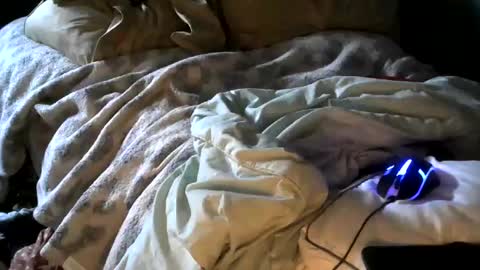 Snapshot of analwhore666 chatting on 01.18.25 kinkylilanalslut online show from 01.18.25