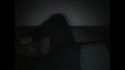 Snapshot of andellus chatting on 11.02.25 andellus online show from 11.02.25