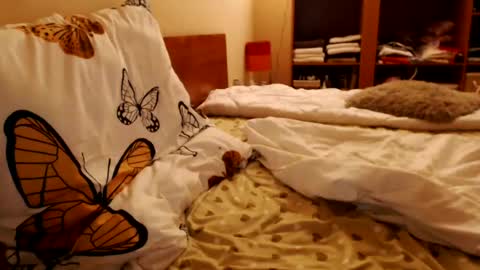 Andra online show from 07.24.26