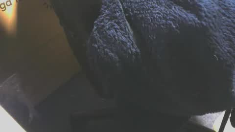 andy503503650759 online show from 12.18.25