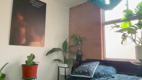 Andy online show from 02.24.26