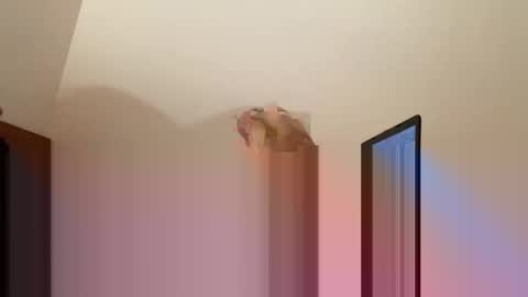 andysap online show from 01.10.25