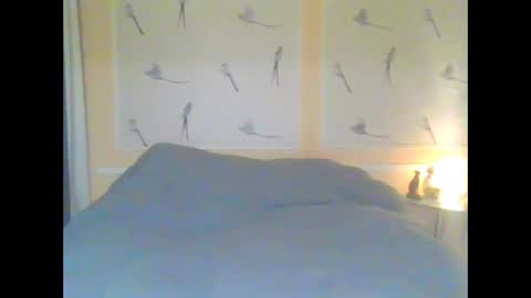 Alinessa online show from 04.01.26