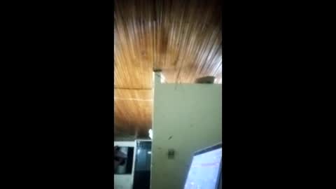 Angel dust9 online show from 02.03.26