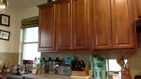 angelia01m online show from 10.31.25