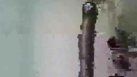 angelictease online show from 03.08.26