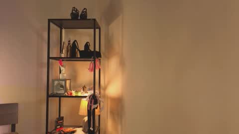 Snapshot of angelospace chatting on 01.31.26 Megan online show from 01.31.26