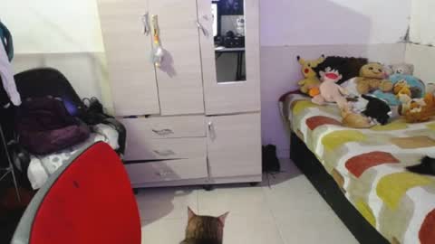 Snapshot of angelswhithe chatting on 09.25.25 angels online show from 09.25.25