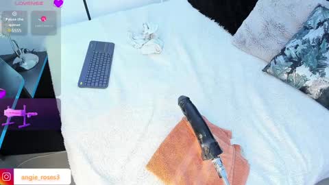 angiee roses online show from 12.13.24