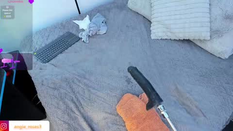 angiee roses online show from 02.09.25