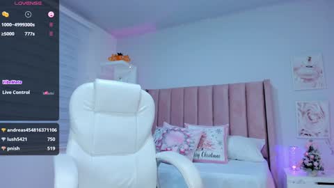 Snapshot of ania_sweet chatting on 12.28.24 Ania online show from 12.28.24