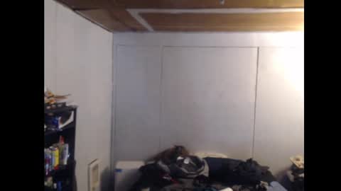 Snapshot of anilyseardor chatting on 02.25.25 Ani online show from 02.25.25