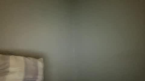 Snapshot of animeboygirls chatting on 01.02.25 Animeboygirls online show from 01.02.25