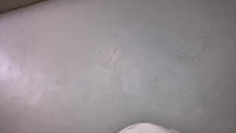 Snapshot of animeboygirls chatting on 10.19.25 Animeboygirls online show from 10.19.25