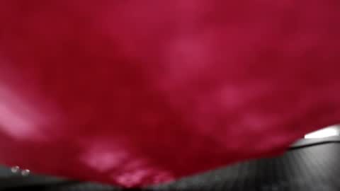 Anna Evodees  online show from 12.08.24