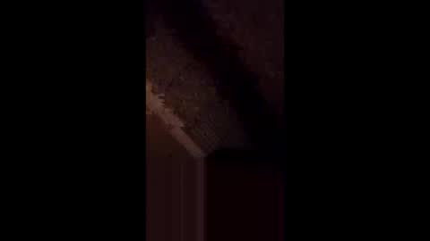 anniebunni online show from 02.16.26