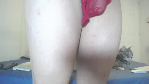 Snapshot of anny_bunny1 chatting on 07.11.26 INDEPENDENT MODEL next srteam 240624 online show from 07.11.26