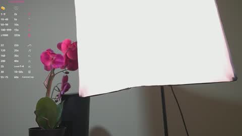 Ana online show from 09.13.25