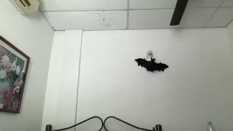 Antonia online show from 12.05.24