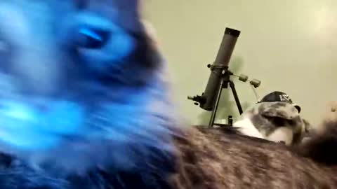 Aphrodite60 online show from 01.12.25