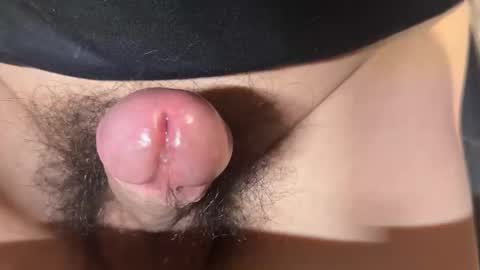 Snapshot of apple2761 chatting on 04.01.26 apple2761 online show from 04.01.26