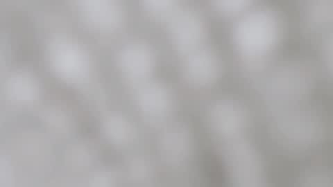 Snapshot of aprilmom chatting on 12.11.24 April online show from 12.11.24