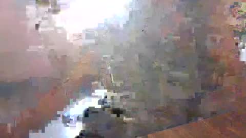 Rahul online show from 02.03.25