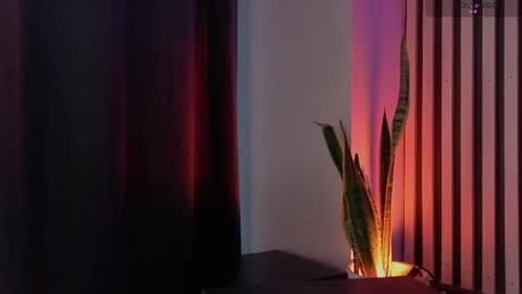 Ariana online show from 07.23.26