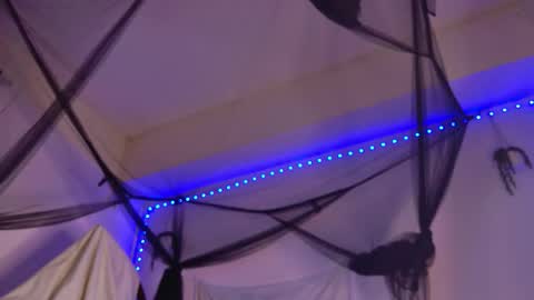 Aria online show from 02.04.26