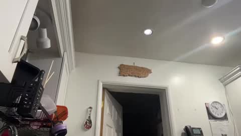 Snapshot of ariawestlove chatting on 01.08.25 Aria online show from 01.08.25