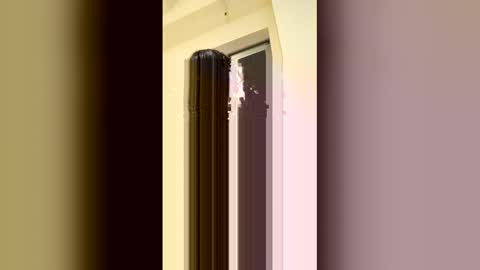 Snapshot of arilavish chatting on 04.11.26 arilavish online show from 04.11.26