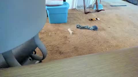 Snapshot of armalite16 chatting on 10.12.25 armalite16 online show from 10.12.25