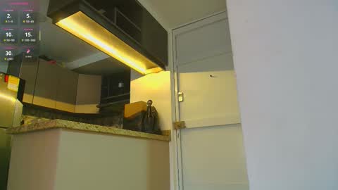 Snapshot of artt_juli chatting on 02.18.26 Im juli online show from 02.18.26