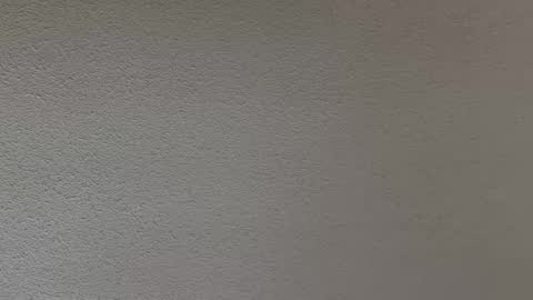 Snapshot of ash123400000 chatting on 02.12.26 ash123400000 online show from 02.12.26