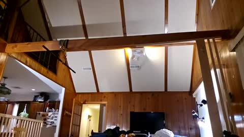 Ashelynn Grey online show from 02.27.25