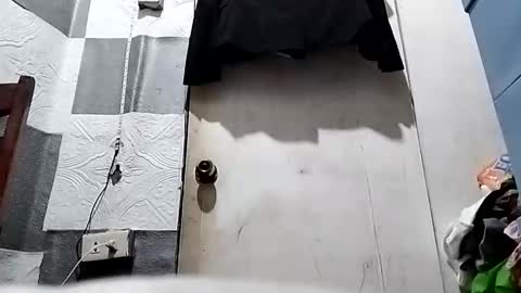 asiancreamy4u online show from 01.05.25