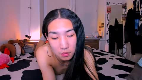 asiancvnt online show from 04.14.26