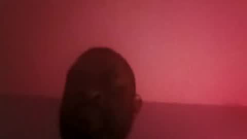 assetr69aldy online show from 04.19.26