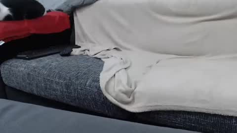 MARCO online show from 01.16.25