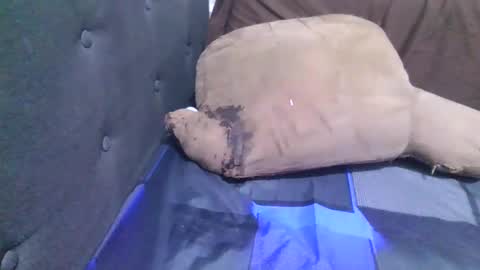 A online show from 11.12.25