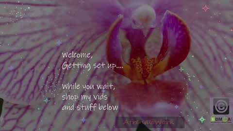 Atrena online show from 04.14.26